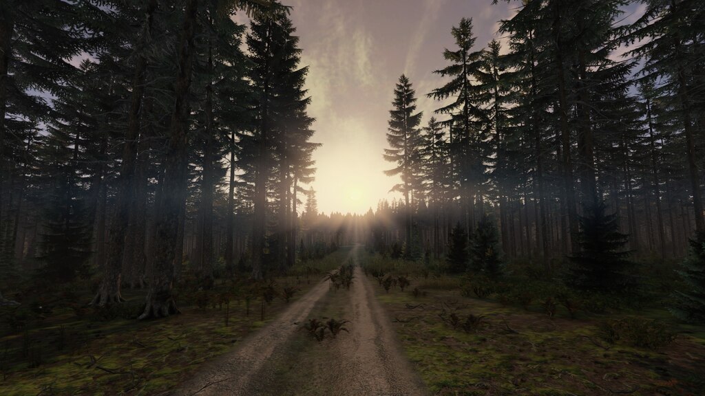 DayZ Wald und Straße